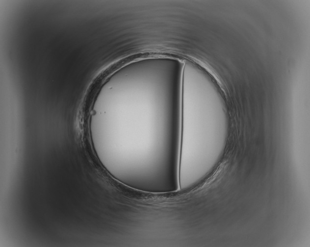X0000102860971200808181022
