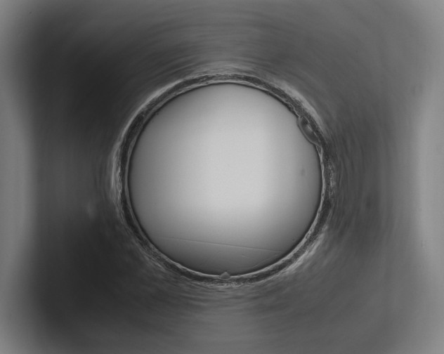 X0000102860973200808181022