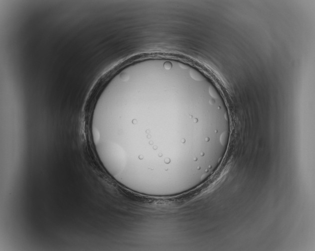 X0000102860974200808181022