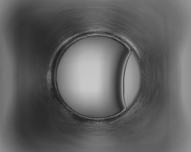 X0000102860975200808181022
