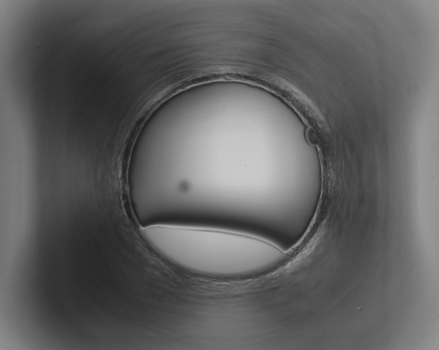 X0000102860977200808181022