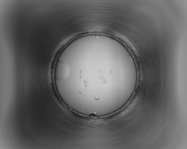 X0000102860978200808181022