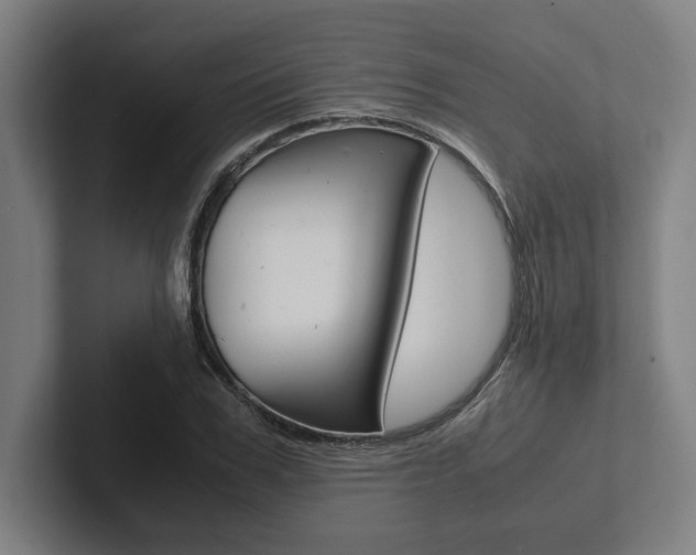 X0000102860979200808181022
