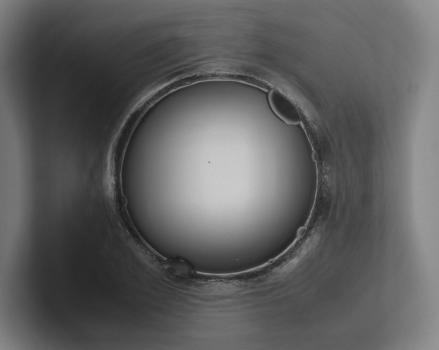 X0000102860981200808181022