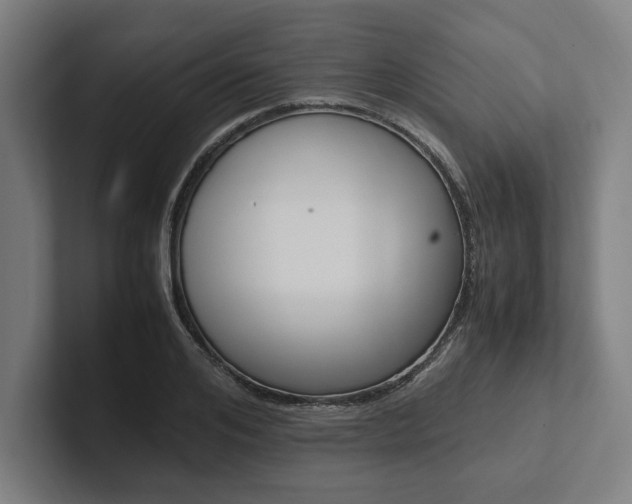 X0000102860984200808181022