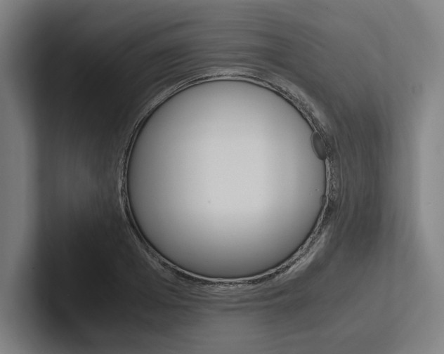 X0000102860985200808181022