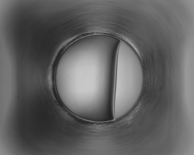 X0000102860987200808181022