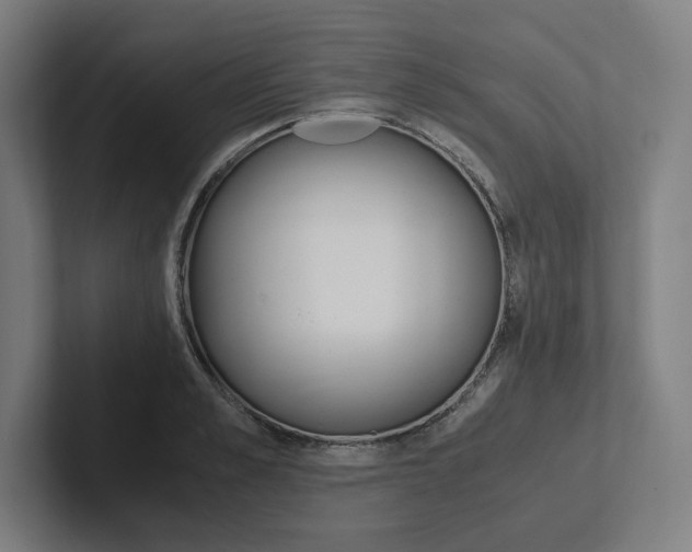 X0000102860989200808181022