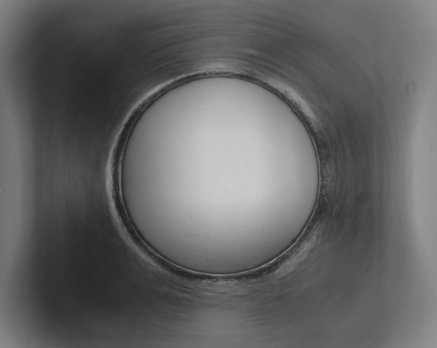 X0000102860991200808181022