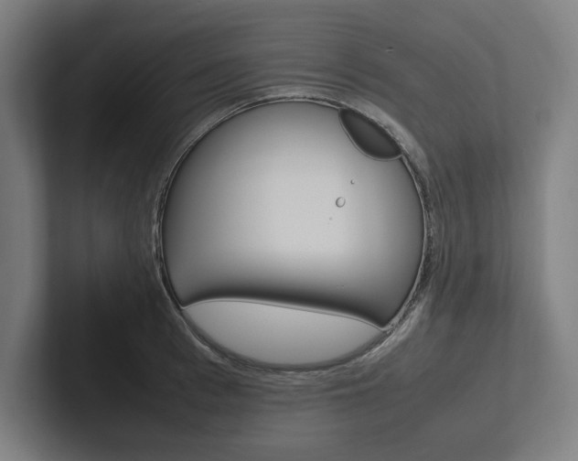 X0000102860993200808181022