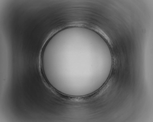 X0000102860994200808181022