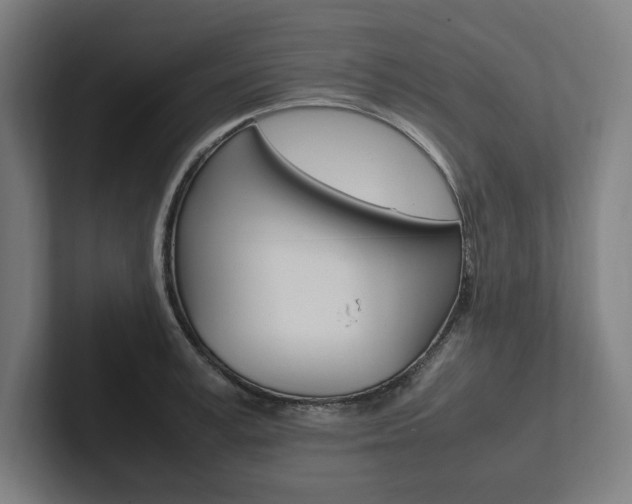 X0000102860995200808181022