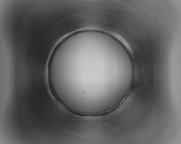 X0000102860996200808181022