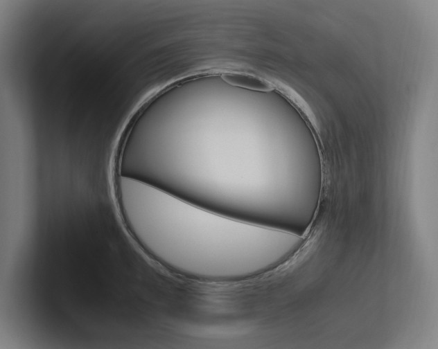 X0000102860997200808181022