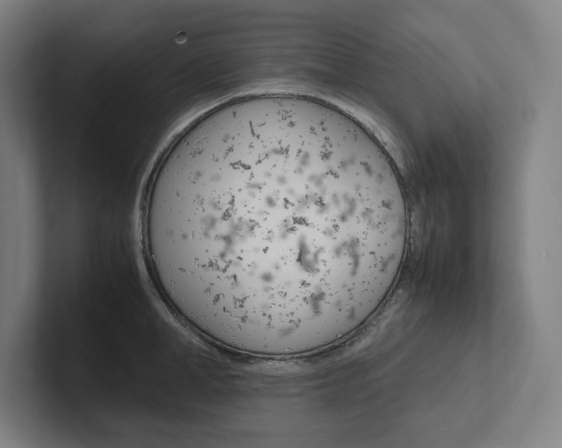 X0000102860998200808181022