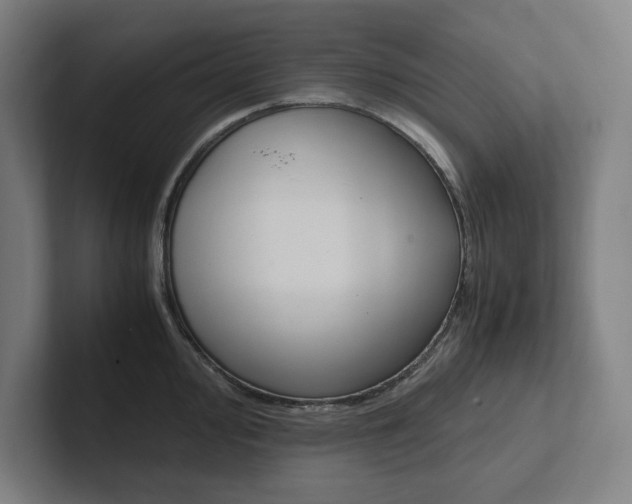 X0000102861000200808181022