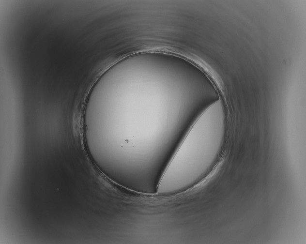 X0000102861001200808181022