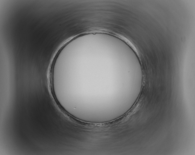X0000102861003200808181022