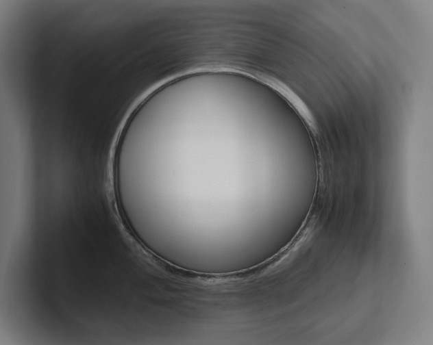 X0000102861004200808181022