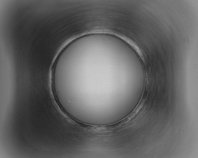 X0000102861006200808181021