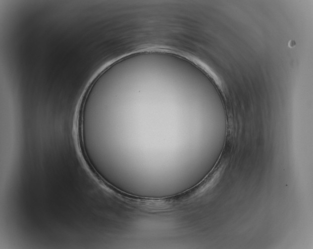 X0000102861007200808181021