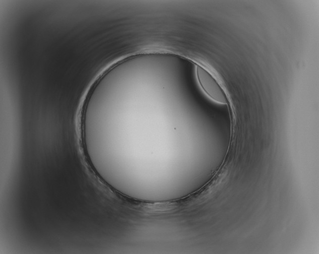 X0000102861008200808181021