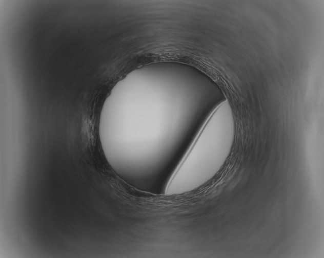 X0000102861010200808181021