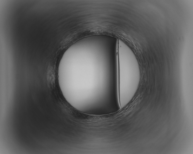X0000102861012200808181021