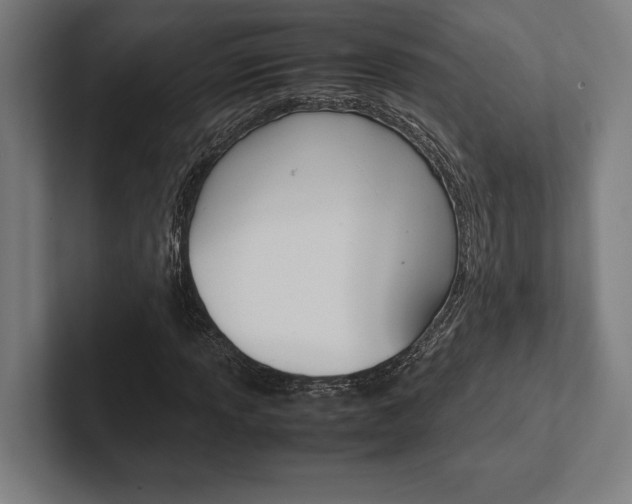 X0000102861013200808181021