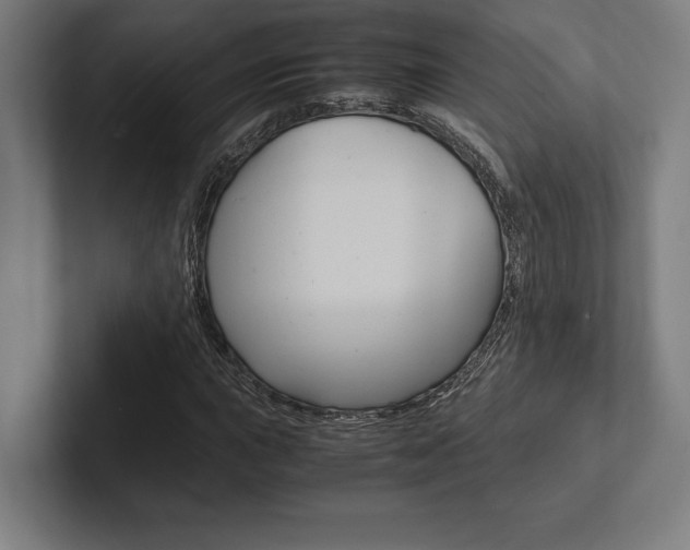 X0000102861015200808181021