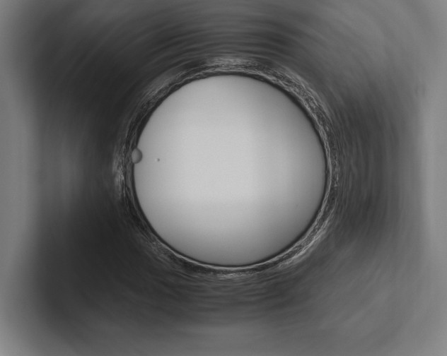 X0000102861017200808181021