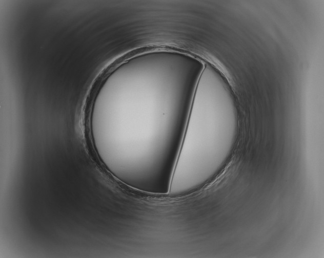 X0000102861020200808181021