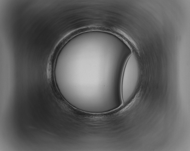 X0000102861021200808181021