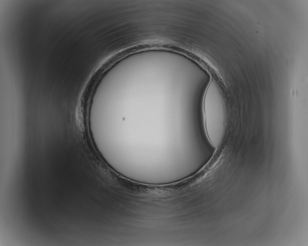 X0000102861022200808181021