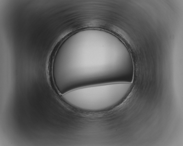 X0000102861026200808181021