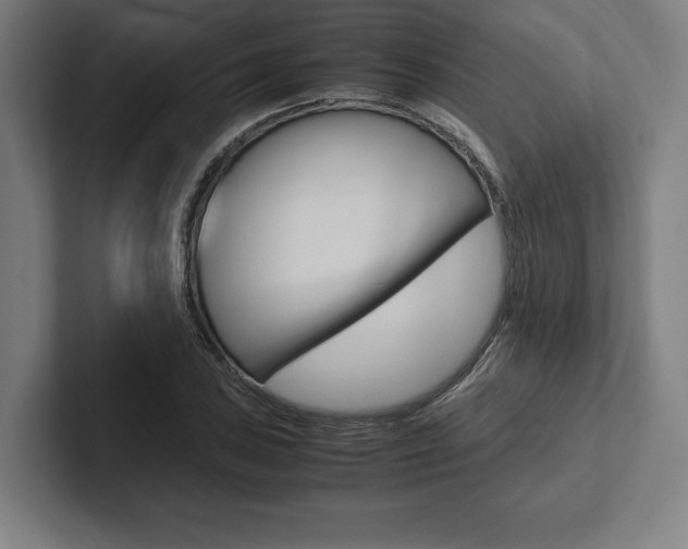 X0000102861027200808181021