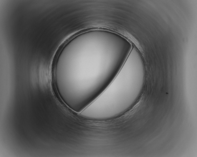 X0000102861028200808181021