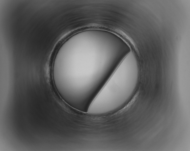 X0000102861029200808181021