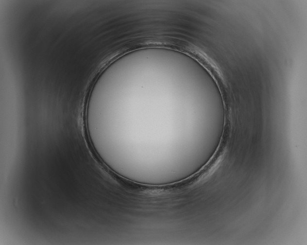 X0000102861033200808181021