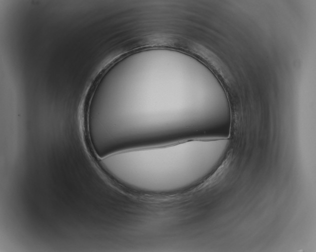 X0000102861034200808181021