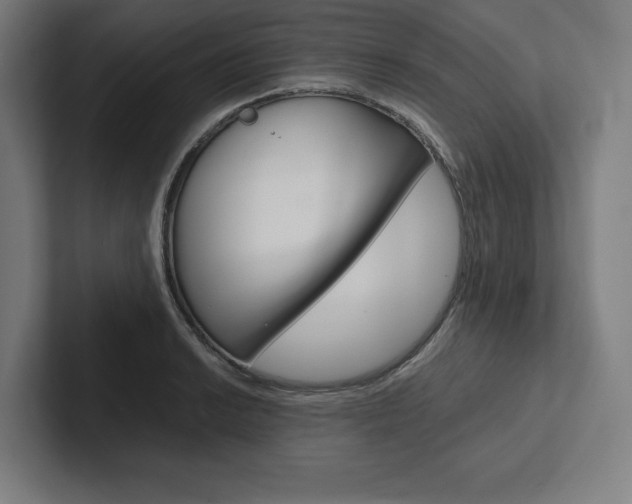 X0000102861038200808181021