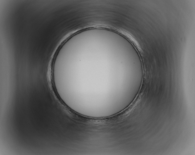 X0000102861040200808181021