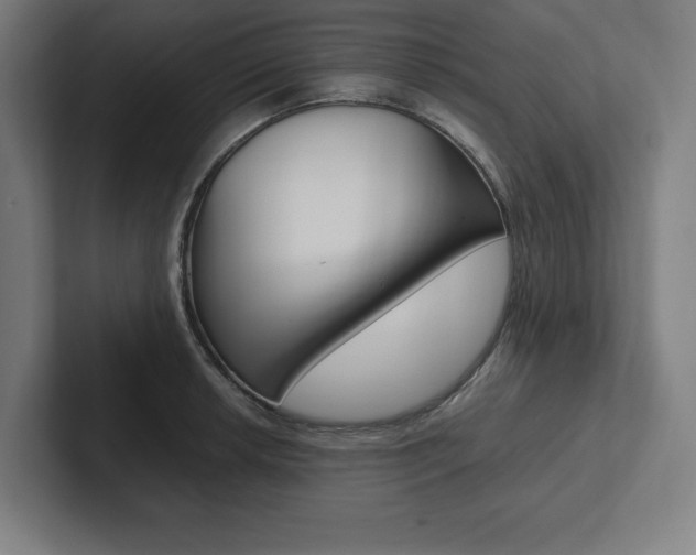 X0000102861042200808181021
