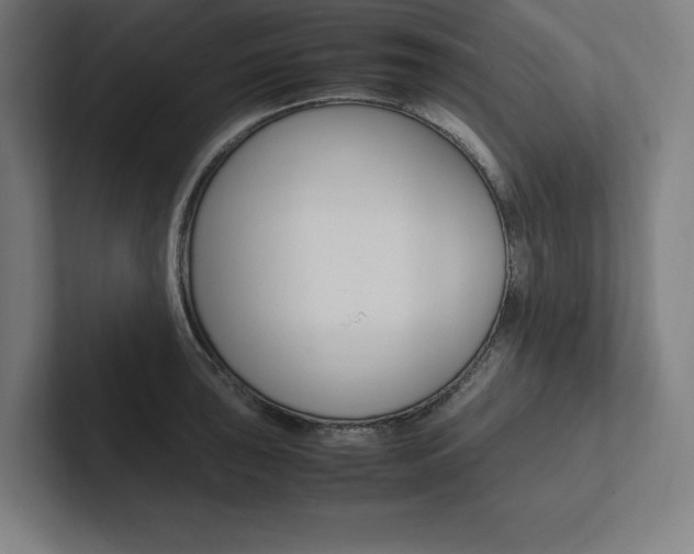 X0000102861043200808181021