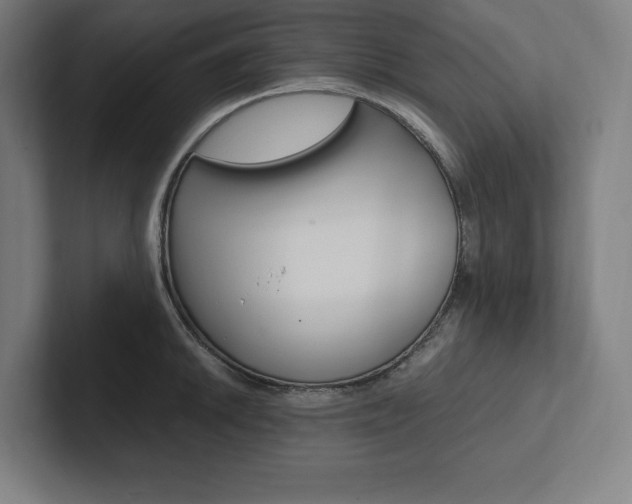 X0000102861046200808181021