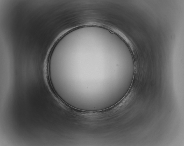 X0000102861048200808181021
