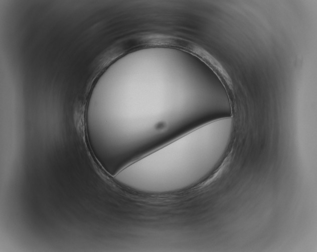 X0000102861049200808181021