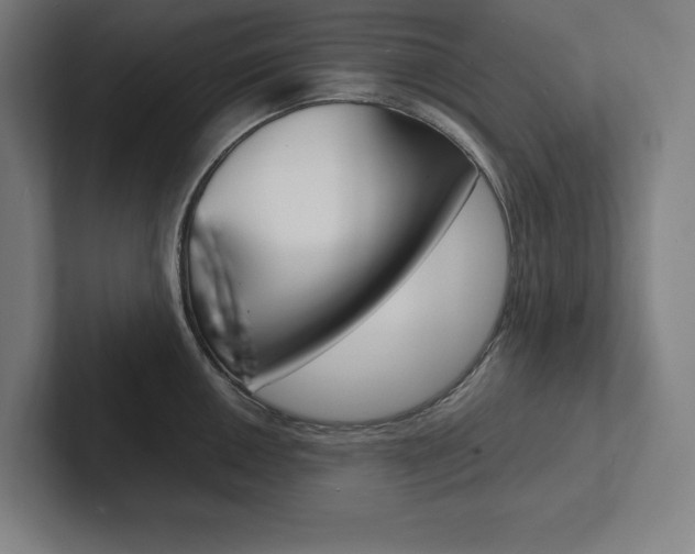 X0000102861050200808181021