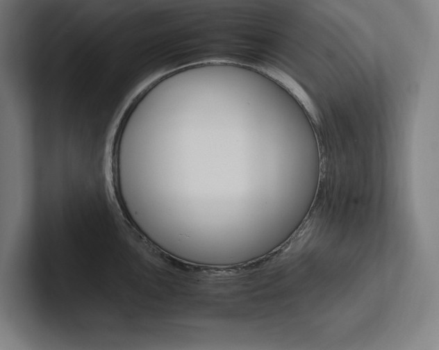 X0000102861051200808181021