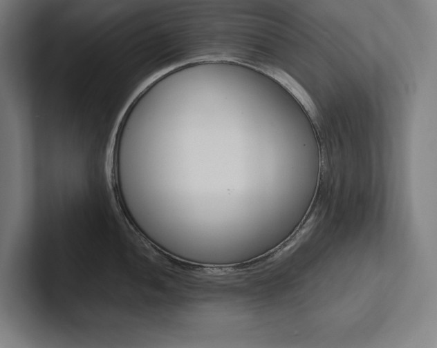 X0000102861052200808181021